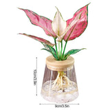a pink and white plant in a glass vase