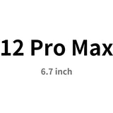 the text 12 pro max is shown in black and white