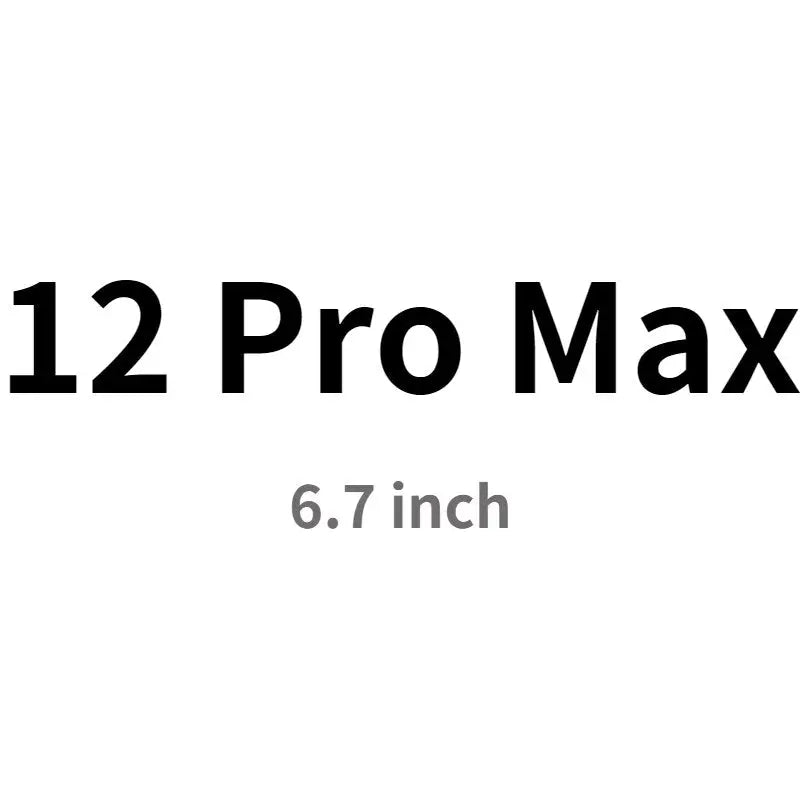 the text 12 pro max is shown in black and white