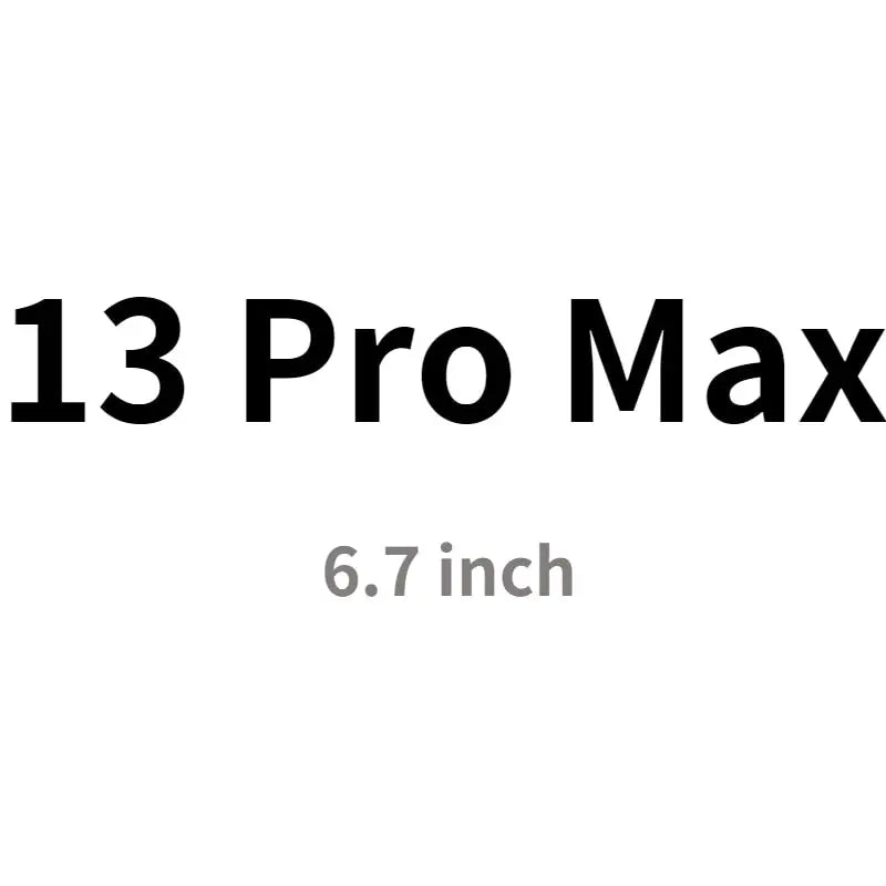 the text 13 pro max is shown in black and white