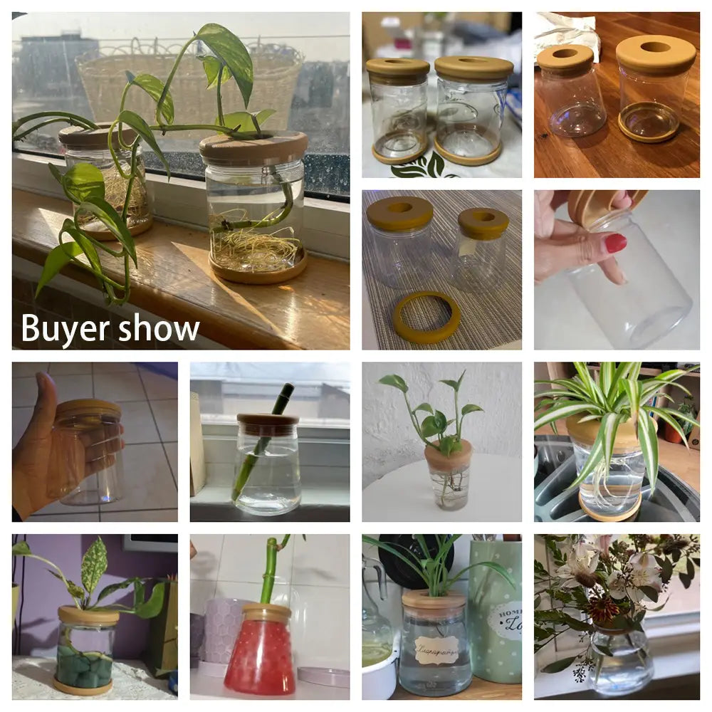 Mini-Hydrokultur-Blumentopf für Heimdekoration mit Soilless
