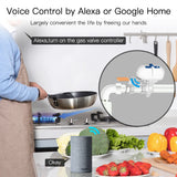 Tuya Zigbee Smart Water Gas Valve Controller - WiFi Shut Off Control via SmartLife Google Alexa Apps