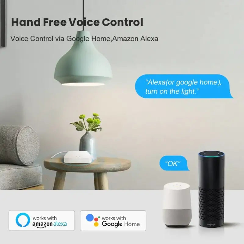 amazon echo voice assistant