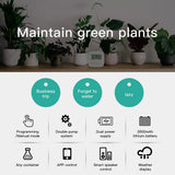 Automatic plant watering system features.