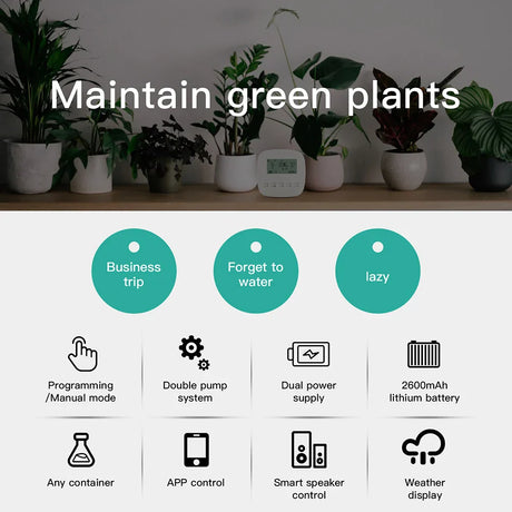 Automatic plant watering system features.
