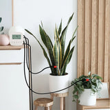 Automatic plant watering system.
