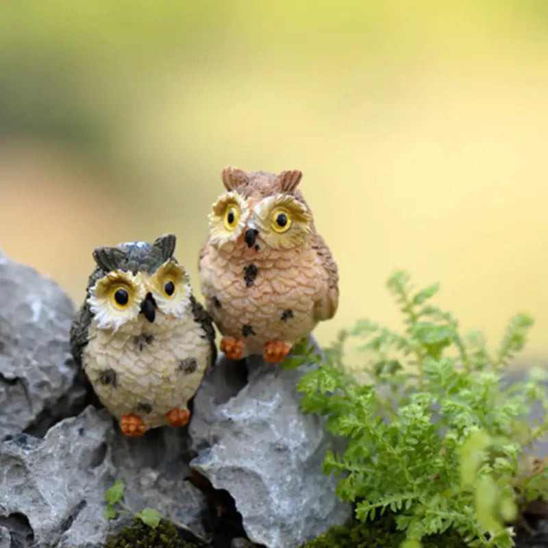 two small birds sitting on a rock