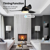 Black ceiling fan with light.