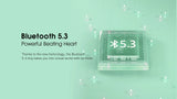 Bluetooth 5.3 chip.