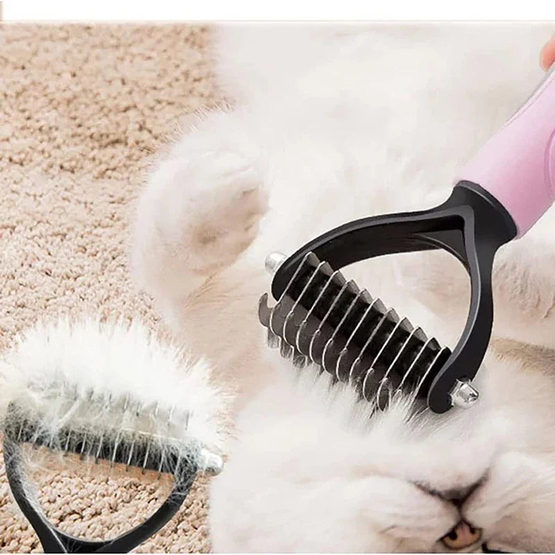 a cat is laying on the carpet with a brush