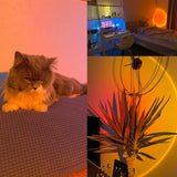 a cat sitting on a couch next to a plant