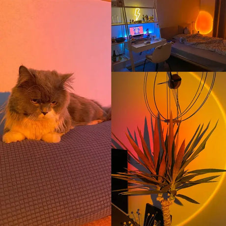 A cat sitting on a couch next to a plant