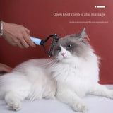 a cat is being groomed by a person