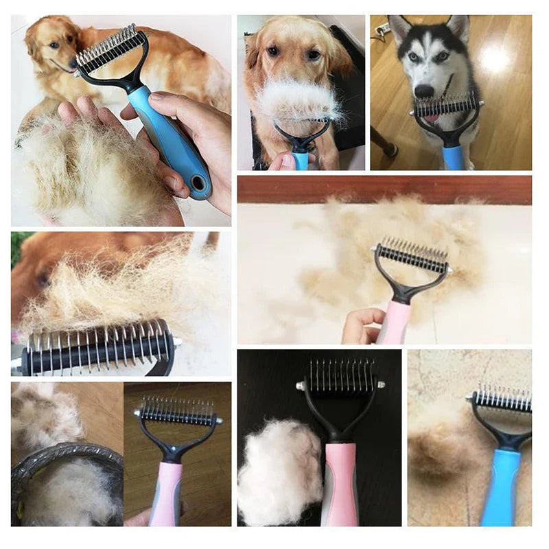 a col of photos showing a dog grooming