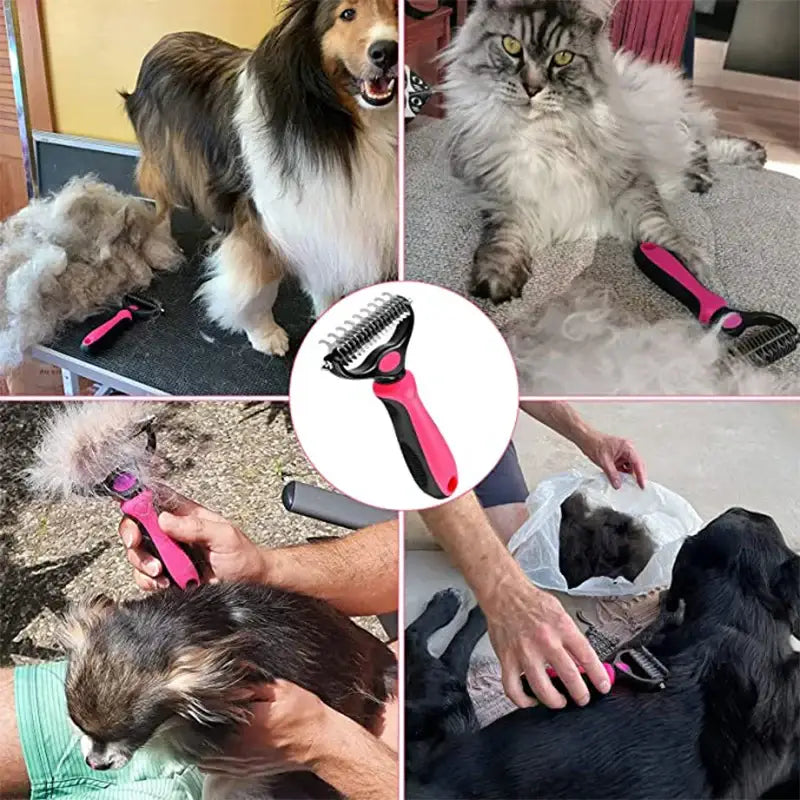 a col of photos of a dog grooming a cat