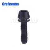 a black screw screw with a black head and a white background