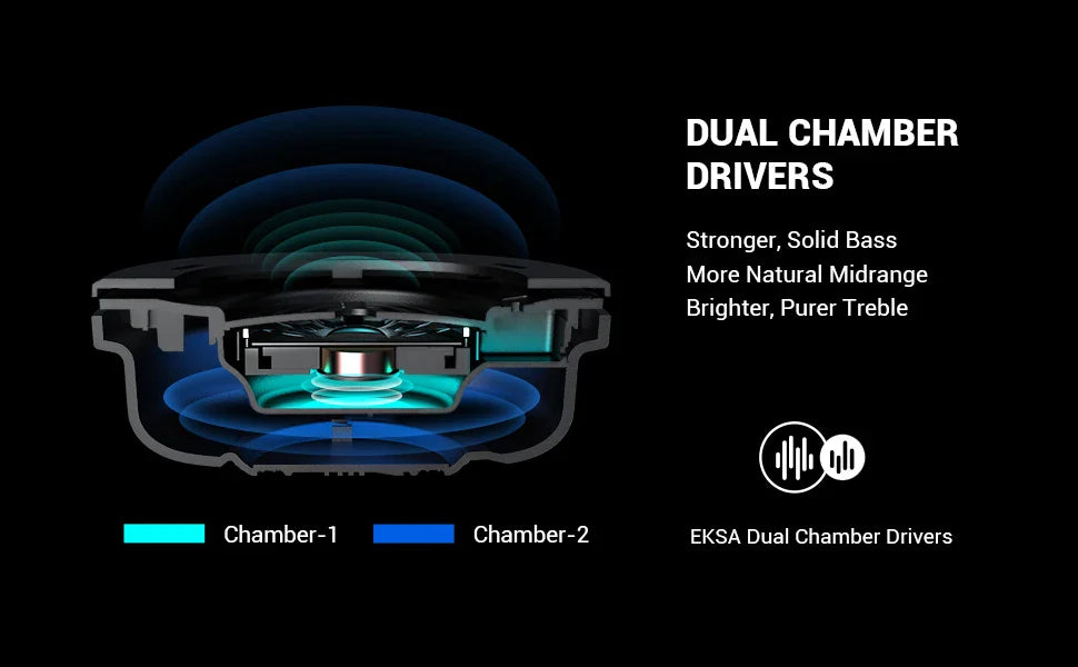 Cross-section diagram of a dual chamber audio driver showcasing its internal components.