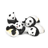 a group of panda bears