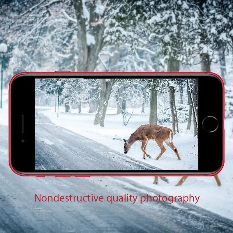 a deer is walking down the road in the snow