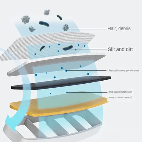 A diagram of the layers of a human body