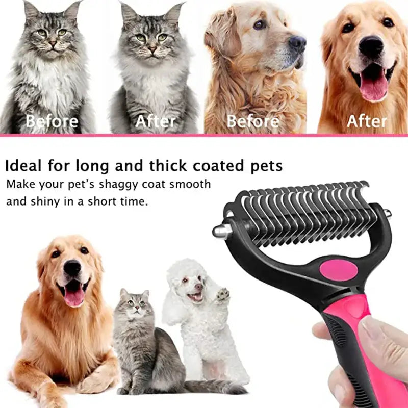 a dog and cat are shown with the hair clipper