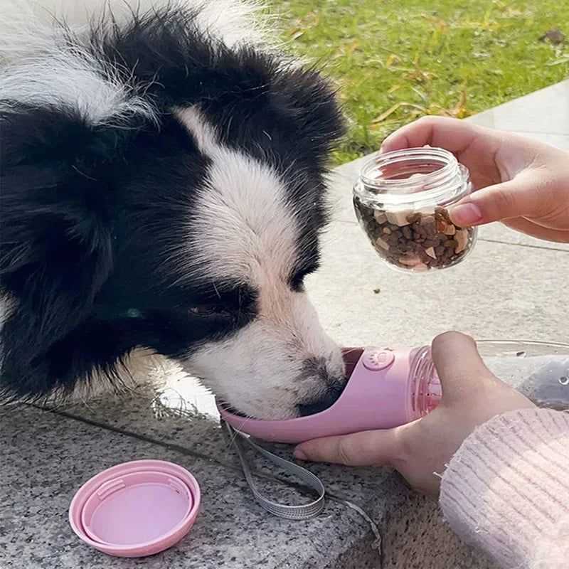 a dog eating food out of a pink bowl