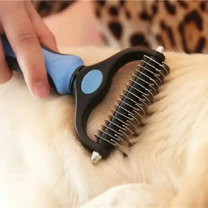 a dog is being groomed by a person