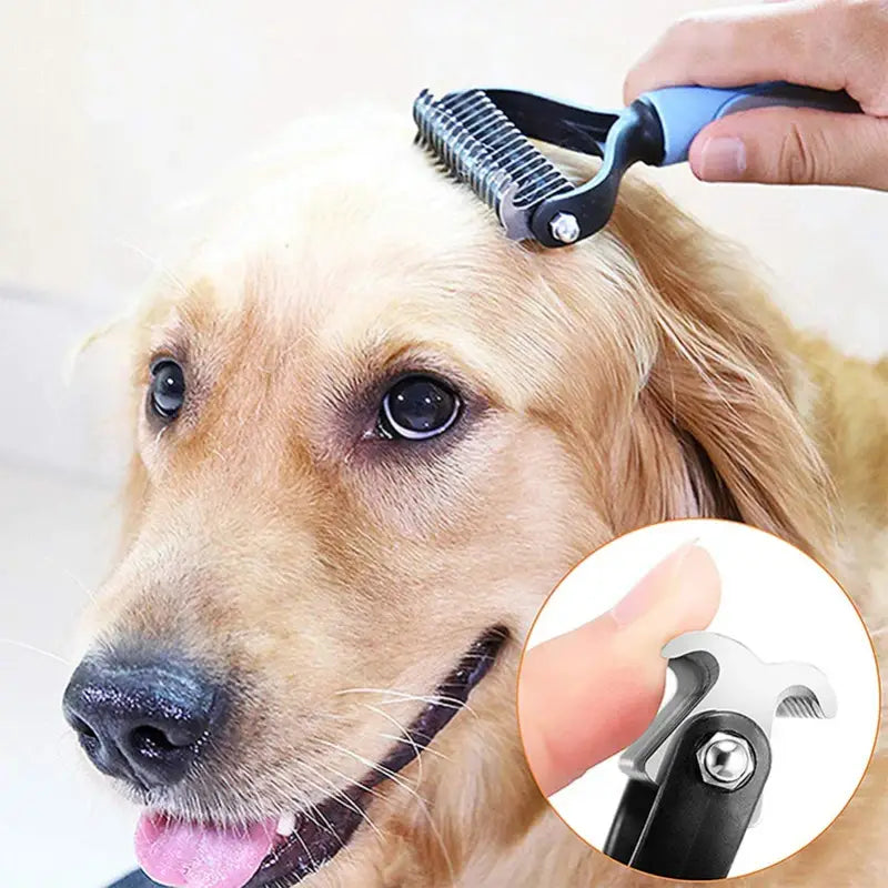 a dog getting his hair brushed by a hair dryer