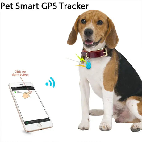 A dog with a smart collar and a smart phone