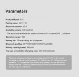 Earbud parameters.