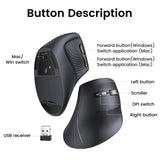 Ergonomic vertical computer mouse with labeled buttons and features.