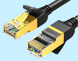 Ethernet cable connectors with exposed gold-plated pins and black plastic housings.