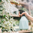 a hand sprays a plant with a sprayer