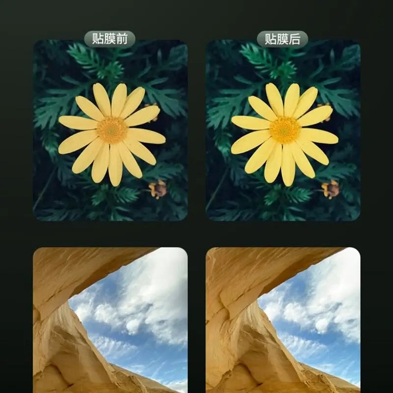 a flower is shown in the middle of the screen
