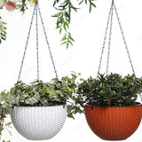 two hanging baskets with plants in them