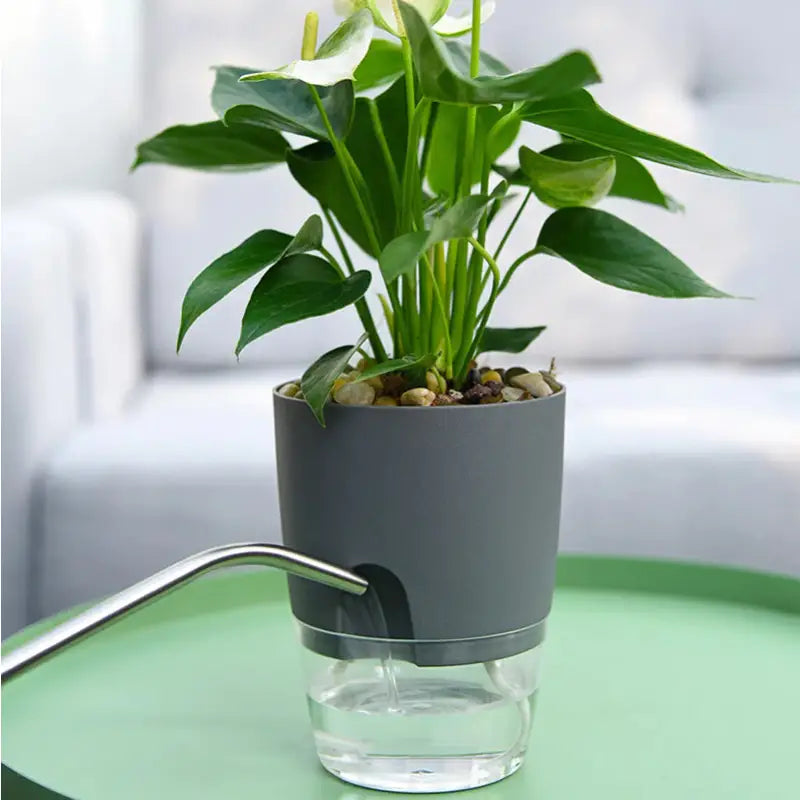 a pot with a plant on top of it