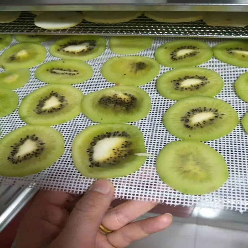 there is a person holding a tray of kiwi slices on a conveyor belt