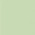 A green paint color with a white background