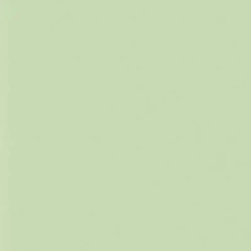 a green paint color with a white background