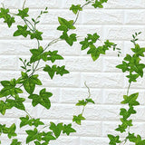 a green vine growing on a white brick wall