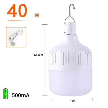 Led bulb light with clip