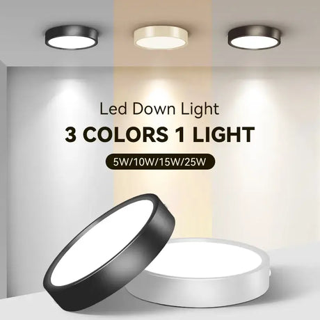 Led downlight 3w15w