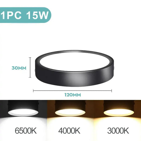 Leds for the ceiling light