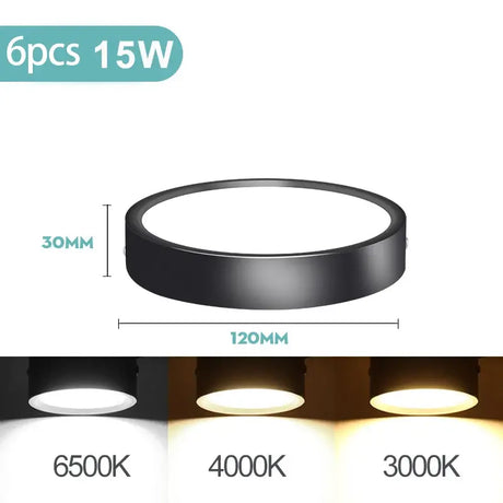 Leds for the ceiling light