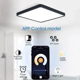 a ceiling light with an app control button