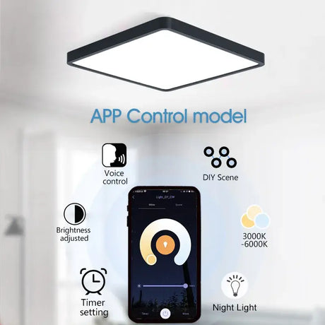 A ceiling light with an app control button