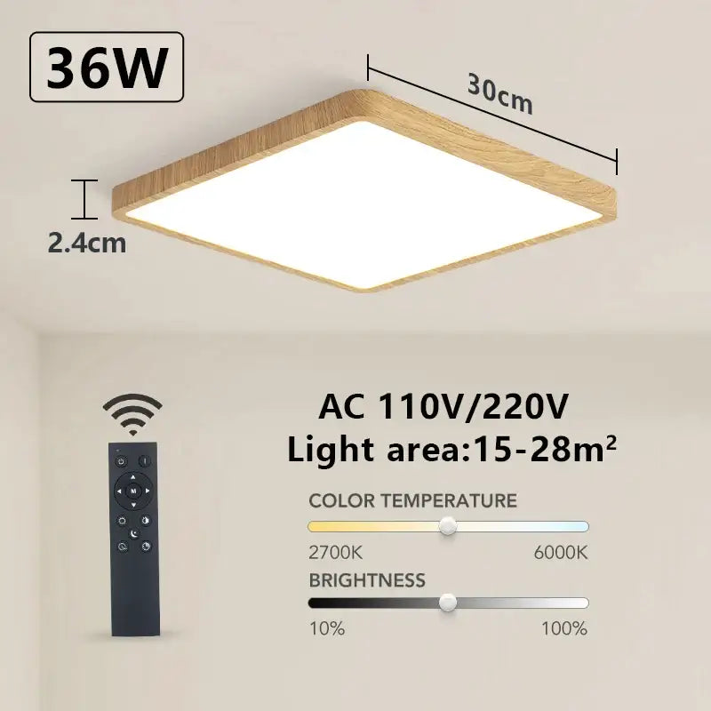 a ceiling light with a remote control