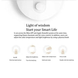 the light switch is shown with the light switch highlighted