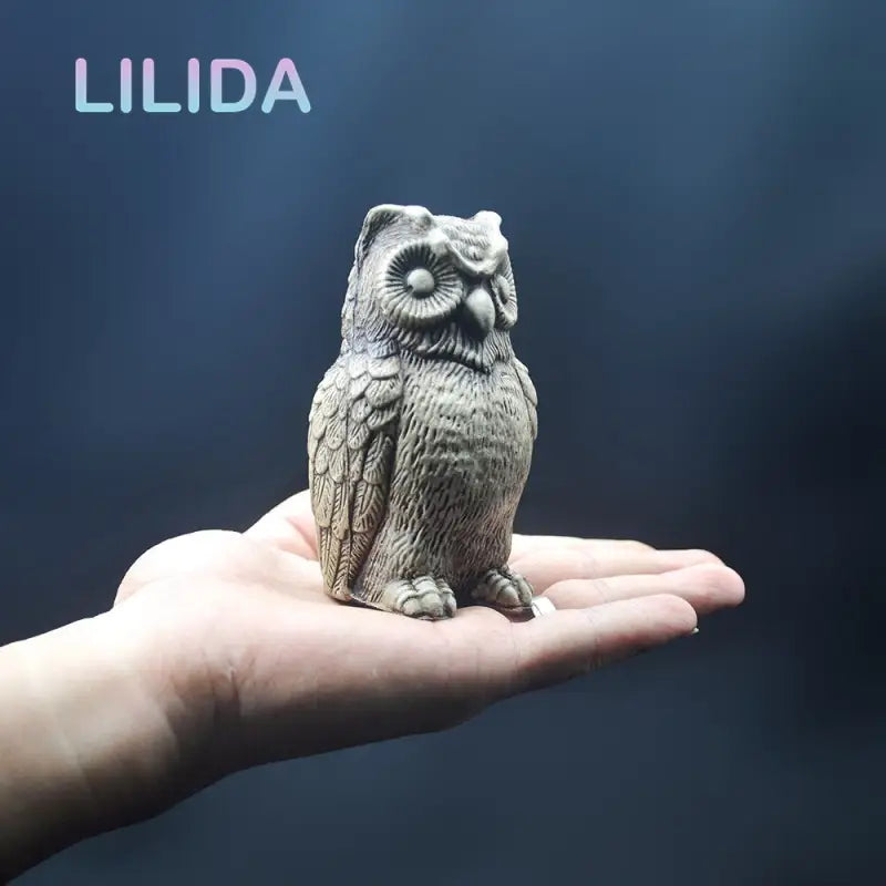 a small owl sitting on a person’s hand