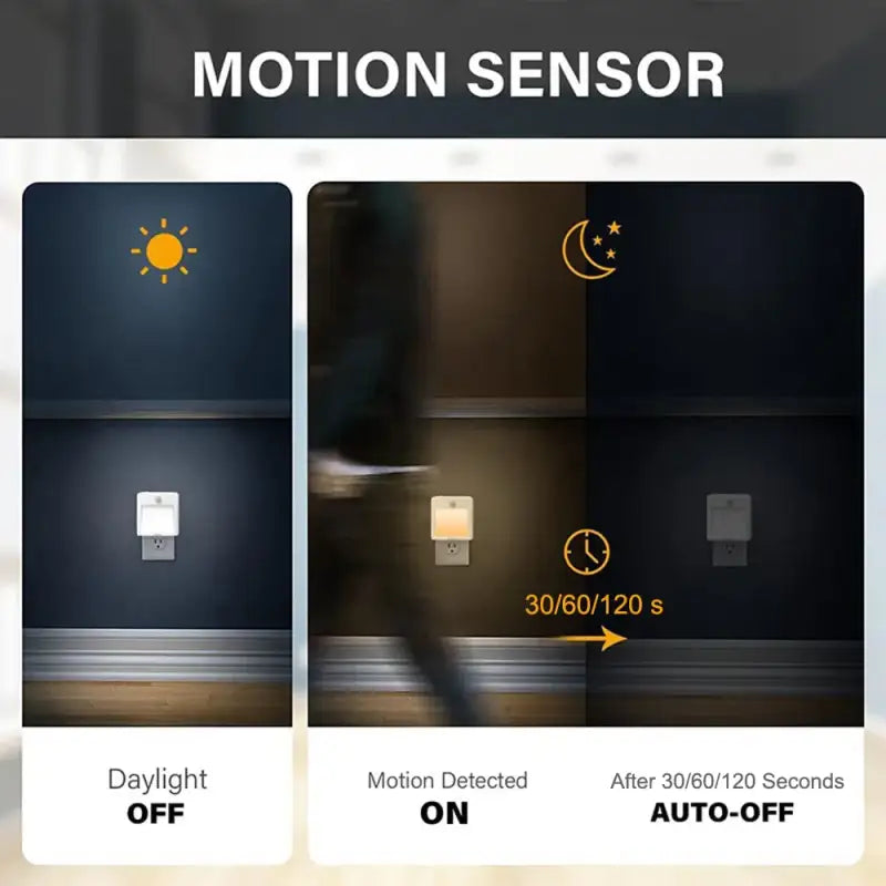 Motion sensor motion detector